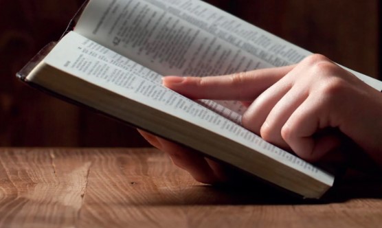 Biblelecture17